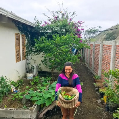 A basket of vegetables carried out of the food garden